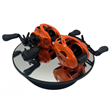 REEL BAIT FLASH -DERECHO-