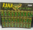 RANA PLANCHA X 30